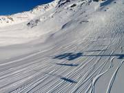 Veel ruimte voor freeriders