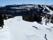 Tip voor de kleintjes 