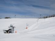 Chard du Beurre - Pannenkoeklift