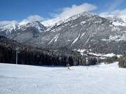 Gemakkelijke piste Stringer