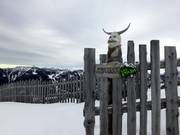 Let op de bescherming van het bos in Burton the Stash
