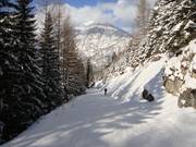 Tristenau-dalafdaling