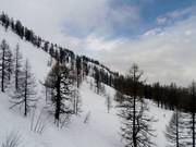 Freeridegebied iets boven Lognan