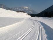 Langlaufloipe in Waidring onder de Steinplatte