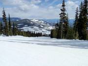 Typisch bosglooiingspiste in Kimberley