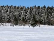 Langlaufen in Boží Dar