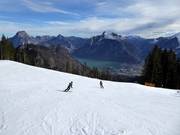 Uitzicht vanaf de pistes op de Traunsee