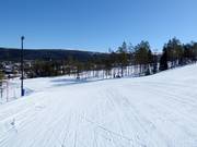 Piste Parallellen