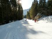 Dalafdaling Loderbichl-Lofer