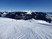 Afdaling nr. 77 Breitmoos