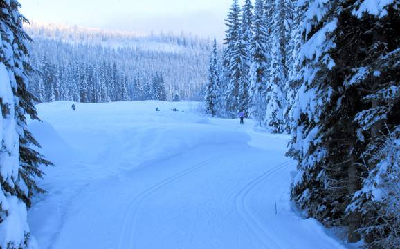 Langlaufen Thompson-Nicola – Langlaufen Sun Peaks