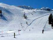 Kanonenrohrlift - Sleeplift met T-beugel/Ankerlift