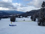 Makkelijke pistes in het dalgebied van Fairmont Hot Springs