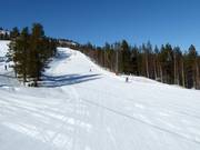 Piste 5 (Blauwe Slope)