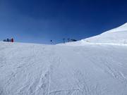 Gemakkelijke piste nr. 2 Wilder Mann