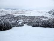 Zware afdaling Grizzly