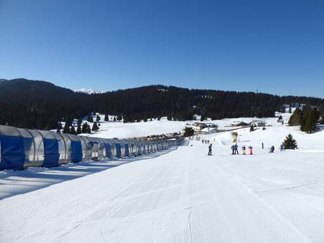 Skigebieden voor beginners in de Vizentiner Alpen – Beginners Folgaria/Fiorentini
