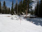 Sneeuwkanonnen in Snowmass