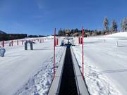 Transportband 33 m ArBär-Kinderland