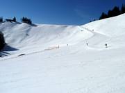 Uitzicht op de Horngrat-afdaling