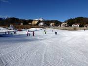 Neveland Bertoldi met transportbanden