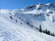 Freeridegebied bij de Zweitausender