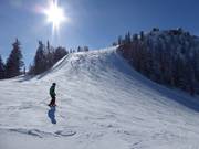 Waldfriedenhang op de Hochwurzen