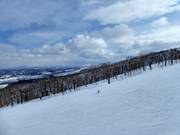 Brede piste op de East Mt.