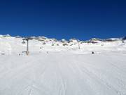 Piste nr. 10 Aletsch