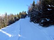 Rifenal-afdaling nr. 1