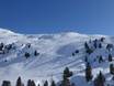 Skigebieden voor gevorderden en off-piste skiërs Salzachtal – Gevorderden, off-piste skiërs Wildkogel – Neukirchen/Bramberg