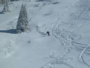 Diepsneeuw bij de Top Liner