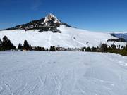 Gemakkelijke piste Schwarzhorn 2