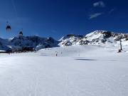 Oefenweide bij de Murmelebahn bij de Gamsgarten
