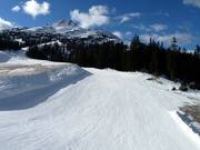 Gemakkelijke familieafdaling