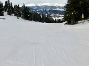 Buitenste familielaan