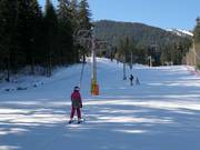 Rotata - Pannenkoeklift