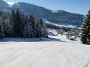 Dalafdaling Ascher naar Altenmarkt