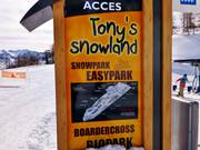 Tony's Snowland