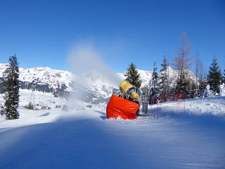 Sneeuwzekerheid Appenzeller Alpen – Sneeuwzekerheid Wildhaus – Gamserrugg (Toggenburg)