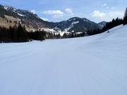 Gemakkelijke familiewedafdaling