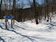 Moeilijke bosafdaling