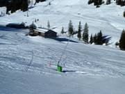 Sneeuwlans in Mellau