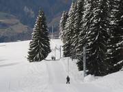 Reys - Pannenkoeklift