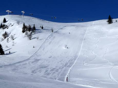 Pisteaanbod Eisacktal – Pisteaanbod Ladurns