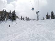 Zeer goede pistepreparatie