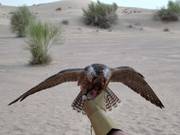 Tip voor de kleintjes 