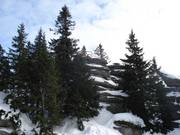 De bekende Dreisesselfelsen ligt op ongeveer 1 km van het bergstation verwijderd.
