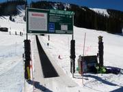 Molly´s Magic Carpet