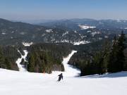 Piste 3 Arch. Peter Petrov